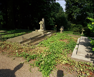 822071 Afbeelding van kruipplanten tussen de grafstenen op de 1e Algemene Begraafplaats Soestbergen (Gansstraat) te Utrecht.